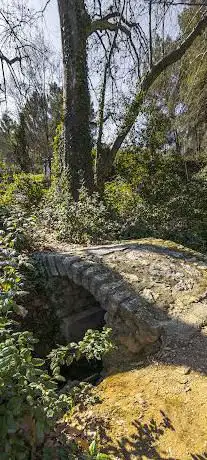 Photo de Forêt de la Mosson