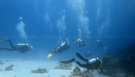 Photo de White Dolphin Diving Center - PADI Dive Resort / Tauchen in Hurghada