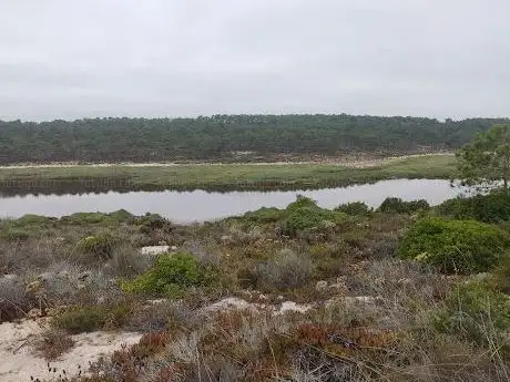 Photo de Percurso do Poço dos Caniços