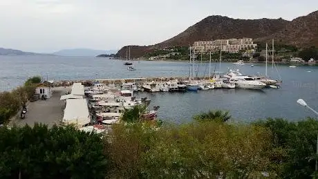 Photo de Vasfıye Hanım Parkı