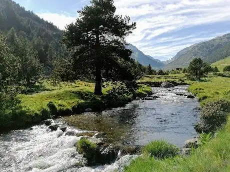 Photo of Pont de la matella