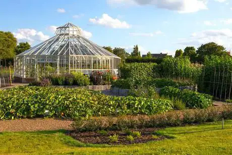 Photo de RHS Garden Hyde Hall