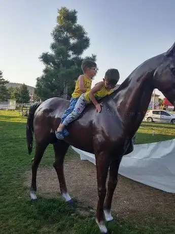 Photo de Namık Kemal Primary School Scout Park