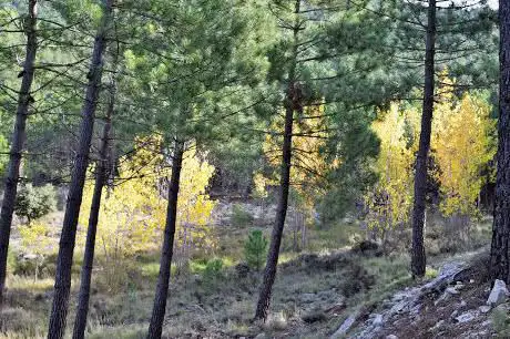 Photo de Cortijo del Nevazo de Arriba.