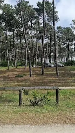 Photo de Parque merendas de Maceda