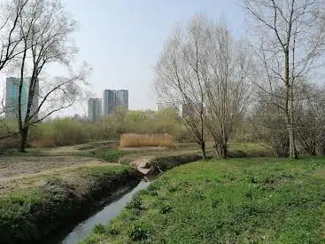 Photo de Moeras van Jette-Ganshoren