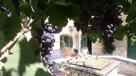 Photo de Konoba galerija Dižva