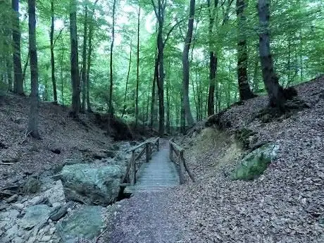 Photo of Arboretum de Spa