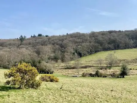 Photo de National Trust- Black Down