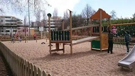 Photo de Playground Spider