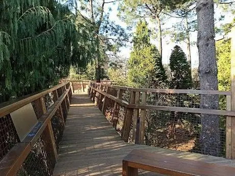 Photo de Treetop Walk Serralves