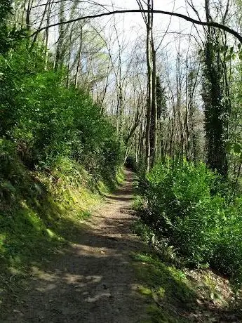 Photo de Marlfield Forest Recreational Area