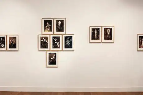 Photo de Spot home gallery