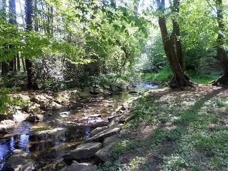 Photo de Lochbachtal