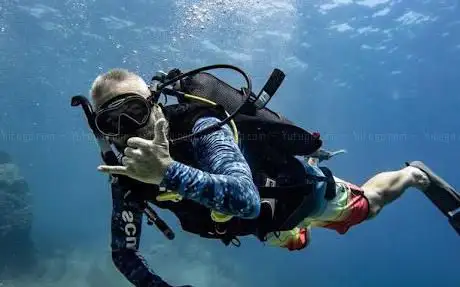 Photo of Aquatic Centre