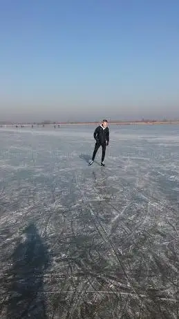 Photo de vogelkijkhut 