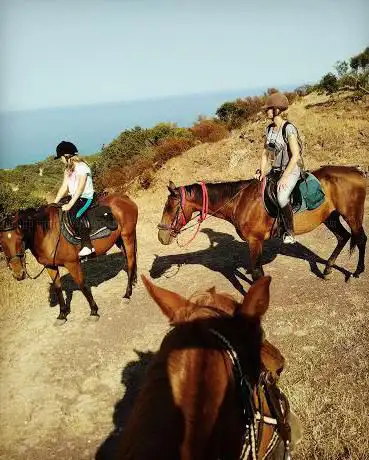 Photo de Ranch 4 Mori Escursioni a Cavallo