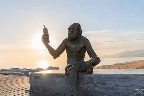 Photo de Estàtua d'AnÃ­s del Mono
