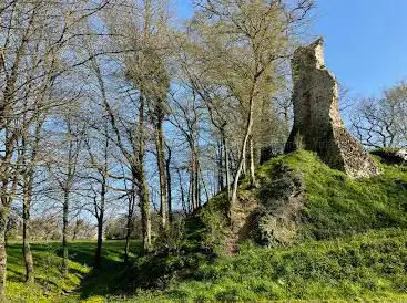 Photo de Motte Féodale de Chevré