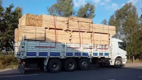 Photo de Şehit Komando Uzman Çavuş Erdal Tekin