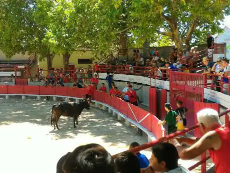 Photo de Arènes de Lansargues