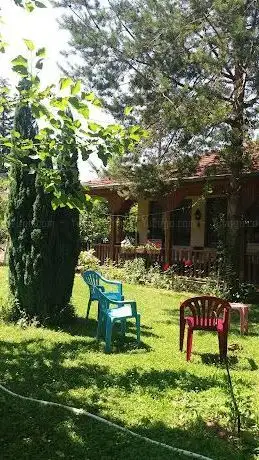 Photo de Child park