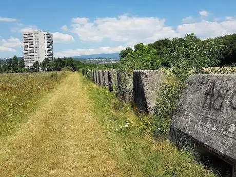 Photo de Fort Fontana