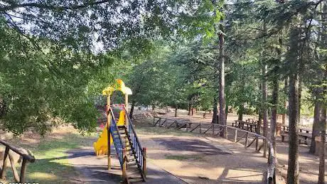 Photo de Lignano Park - Rigutinelli
