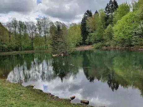 Photo of Holzerather See