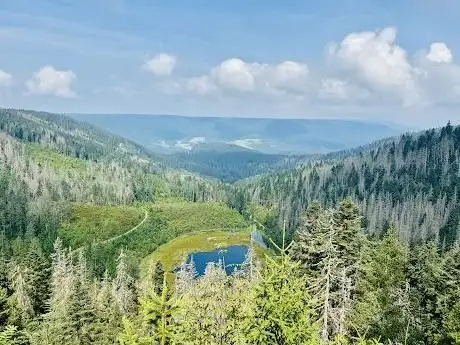Photo of Parc national de la Forêt-Noire