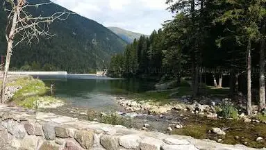 Photo de CENTRE NORDIQUE DU BOREON