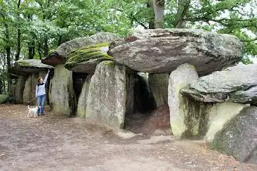 Photo de Salle des Fêtes