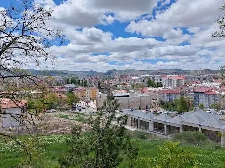 Photo de Sivas Castle