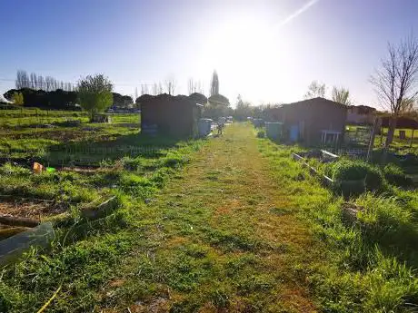 Photo de Les jardins familiaux de Mazérac