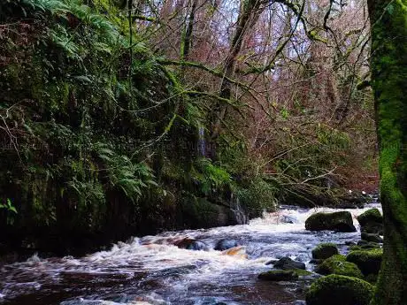 Photo de Cladagh Glen