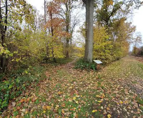 Photo de Tassoniere Woods