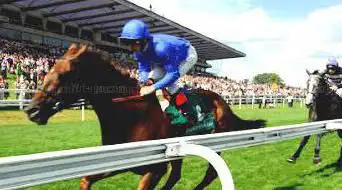 Foto de Sandown Park Racecourse