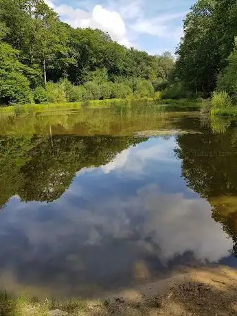 Photo de Étang de Plaisir