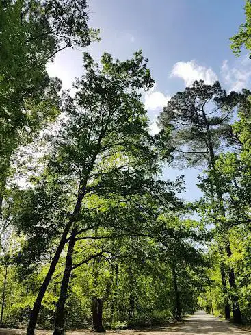 Photo de Parc Féau