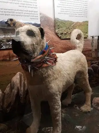 Photo of Sivas Şehir Müzesi