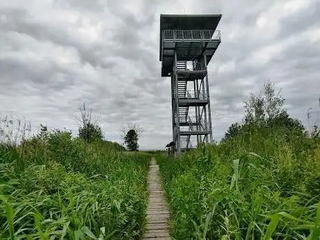 Photo de Wieża widokowa Stawy Przemkowskie