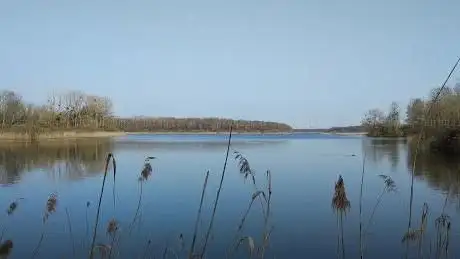 Photo de Étang de la Horre