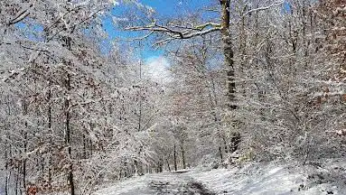 Photo de Parcours sportif du Salbert