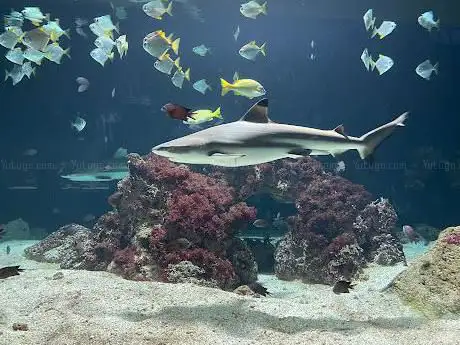 Photo of Zoo Antwerpen