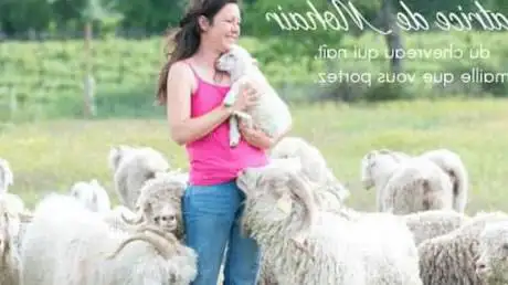 Photo de Mohair de la Ferme d'Auré