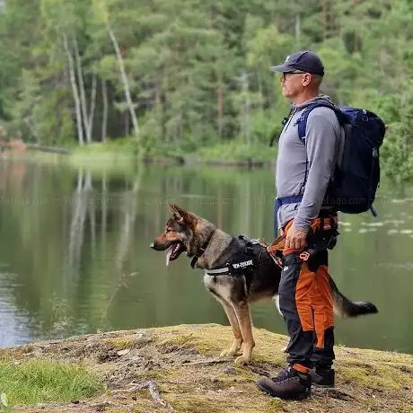 Photo de Försvarsplats Gråberget 2
