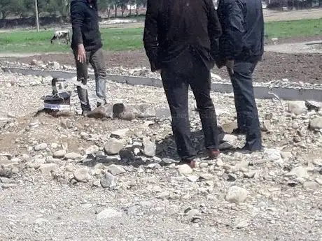 Photo de Yalnızev Dinlenme Parkı