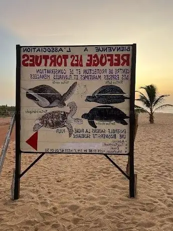 Photo de Refuge des Tortues de Grand-Popo
