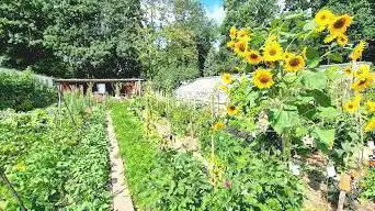 Photo de Potager Caillebotte