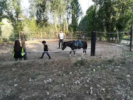 Photo de Circolo ippico Horses Pineto
